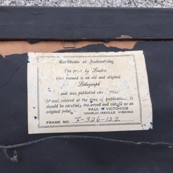 1840 Antique Botanical Yellow Print Framed by Jane Loudon Hand Colored Victorian - Picture 9 of 11